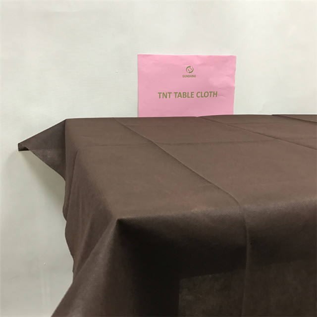  Hot Sale Non Woven TNT Nonwoven Tablecloth Fabric for Pp Spunbond