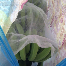 Non Woven Banana Bag PP Nonwoven Agriculture Fruit Bag Nonwoven Fabric Roll