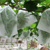 Agricultural with uv pp nonwoven fabric use banana bag