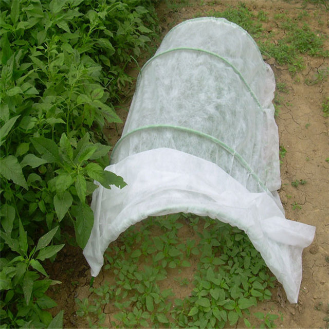 2%UV Agricultural cover polypropylene spunbond nonwoven fabric supplier