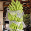 Non Woven Banana Bag PP Nonwoven Agriculture Fruit Bag Nonwoven Fabric Roll