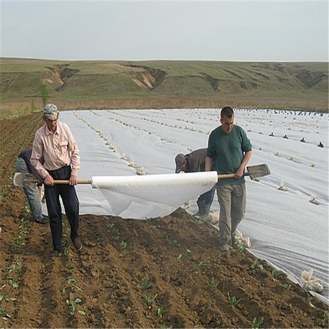 Agricultural cover pp nonwoven fabric with uv for agricultural protection non woven fabric roll
