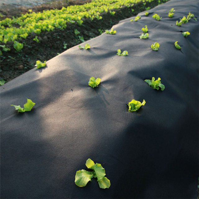  Landscape nonwoven fabric 100%uv agricultural cover pp nonwoven fabric