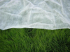 Agriculture 3% UV Nonwoven Cover 100% Pp Spunbonded Nonwoven Roll