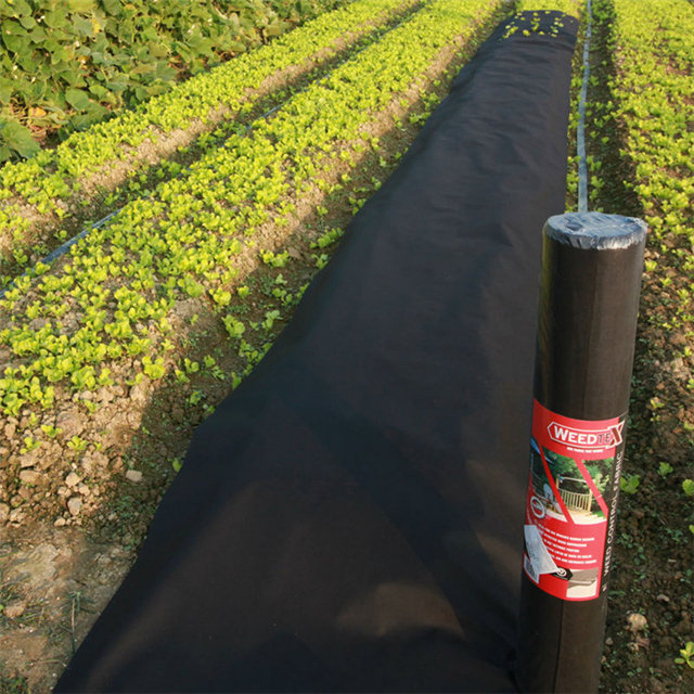 Weed control 5%UV agricultural pp nonwoven fabric roll