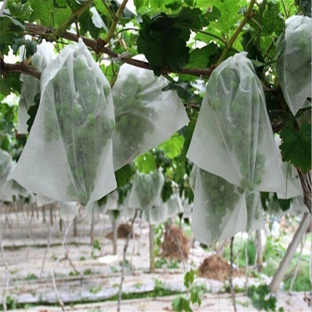 wholesale 100% polypropylene Non woven fabric for agricultural fruit protection banana bag 