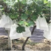 Biodegradable Pp Non Woven Fruit Control Cover Bag pp spunbond nonwoven fabric