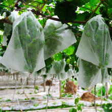 Eco-friendly pp fruit cover agriculture protection bags pp spunbond non-woven fabric 