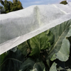 Agriculture UV resistant pp non woven spunbond weed control nonwoven fabric 