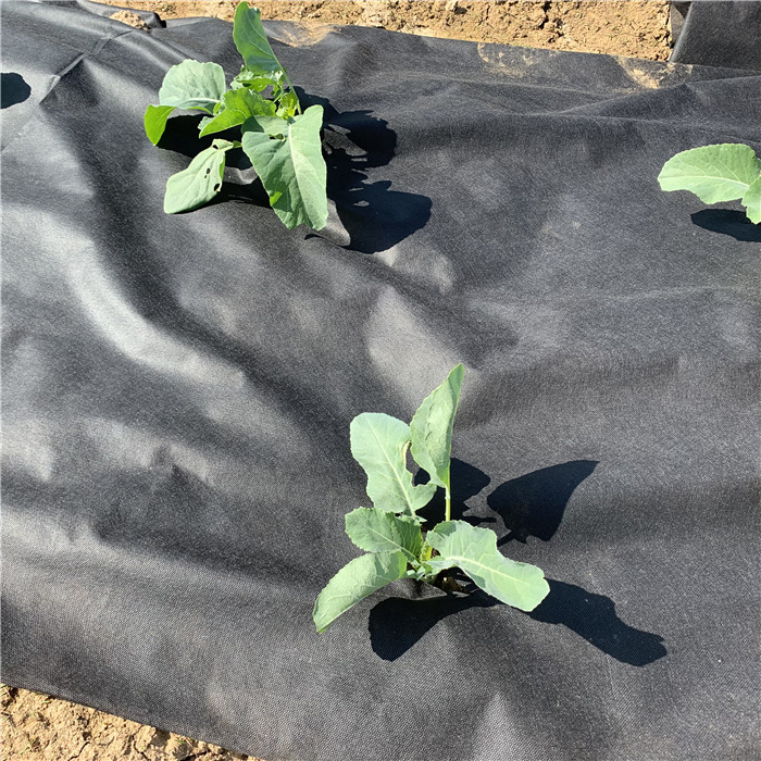 Anti UV polypropylene spunbond agriculture non woven fabric