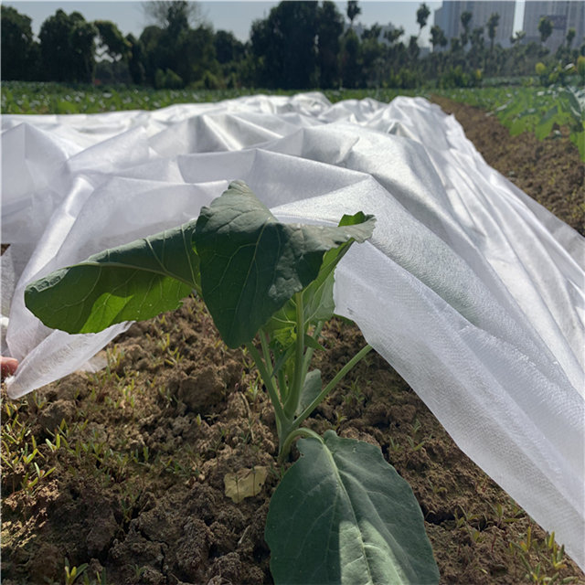 UV protect agriculture pp spunbond nonwoven fabric