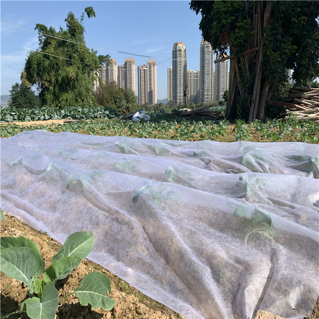 Factory Wholesale Bio-degradable 100% pp nonwoven fabric for agriculture cover