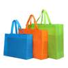 100%Polypropylene Spunbond Handle Non Woven Shopping Bags with Logos