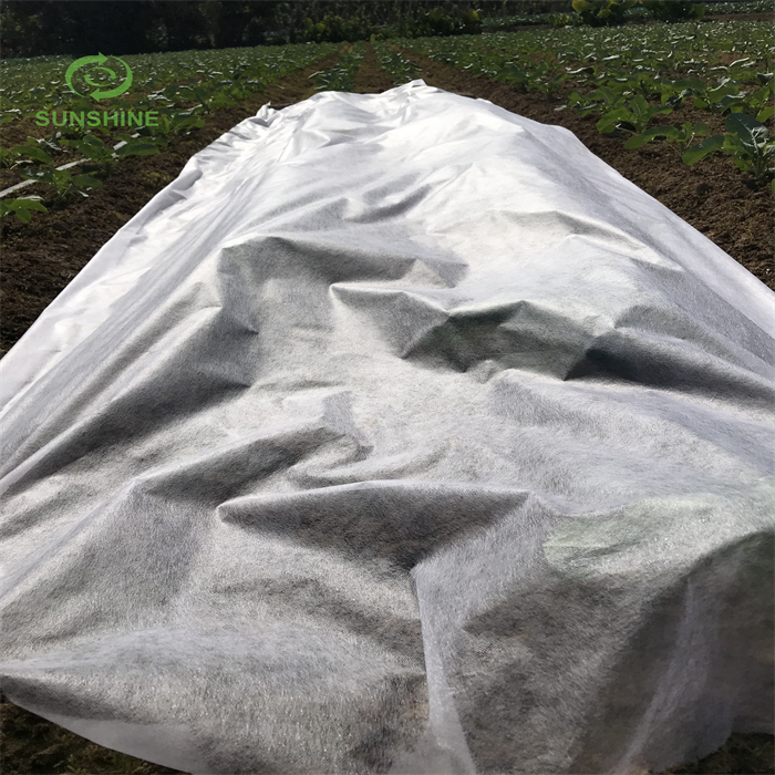 China Manufacturer UV 100%PP Agriculture Nonwoven Weed Control Weed Mat Garden Cover
