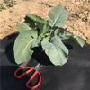 Eco-friendly Bio-degradable 100% Polypropylene non woven fabric for agriculture Weed barrier/ weed control 