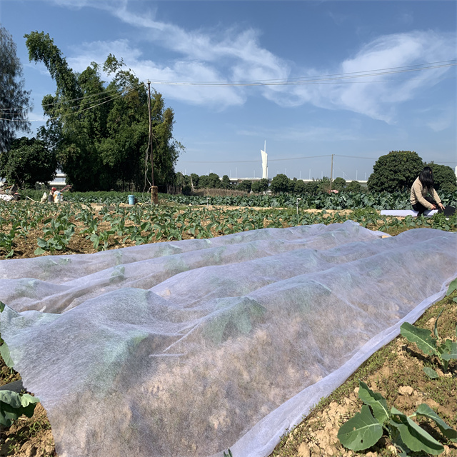 Agriculture Fleece Nonwoven Landscaping Fabric Agriculture Cover White UV Spunbond Nonwoven Fabric