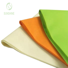 Direct Factory PP Spunbond Non Woven Fabric 100%polypropylene Fabric