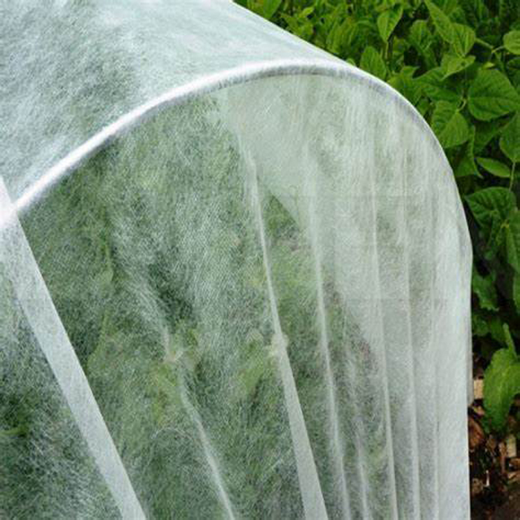 Agricultural protect polypropylene spunbond non woven fabric