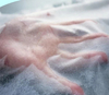 Super Soft Hydrophilic SSS Non-woven Fabric for Baby Diaper