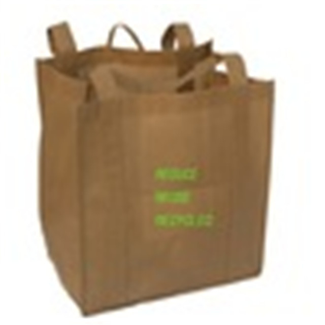 100% PP Spunbond Economy Nonwoven Popular Bag Non Woven Fabric Eco Friendly Reusable Nonwoven Bag 
