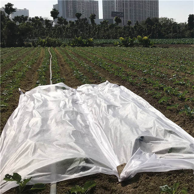 High quality UV Protection Spunbonded PP Nonwoven Fabric Agricultural Ground Cover