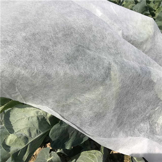 Agriculture cover 100% polypropylene spunbond non woven fabric