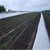 Bio-degradable 100% Polypropylene non woven fabric for agriculture Weed barrier/ weed control 